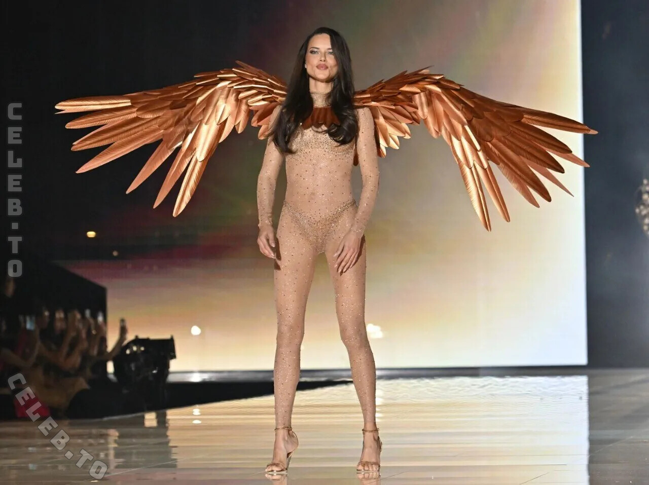 Adriana Lima hands