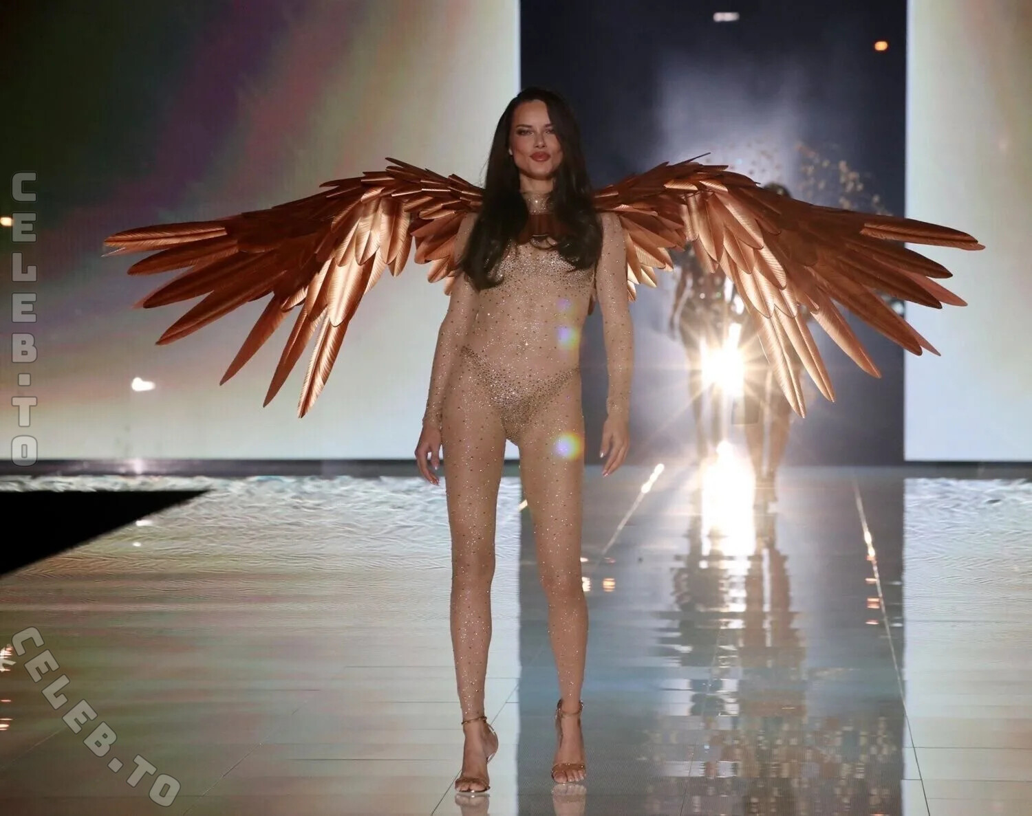 Adriana Lima hands