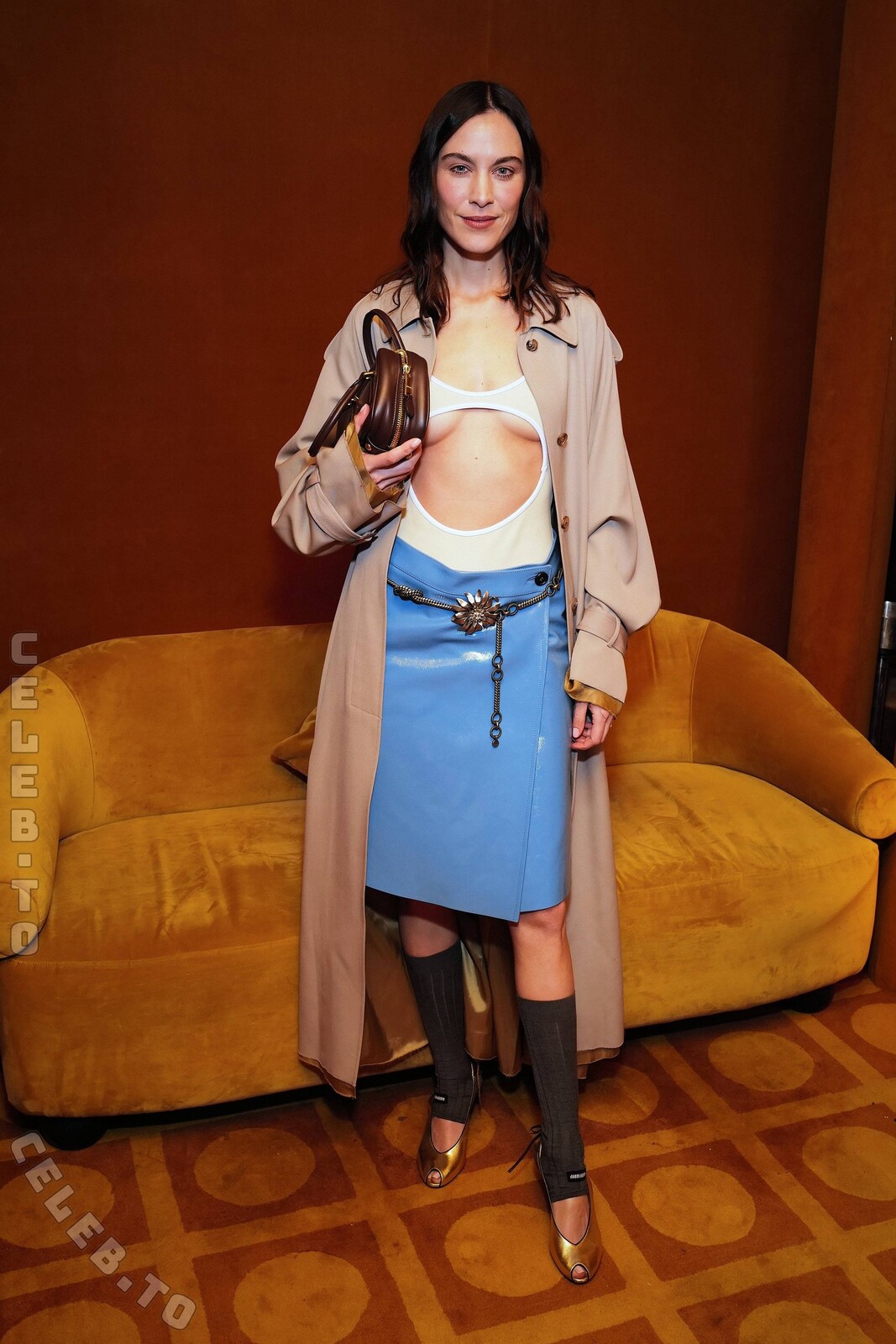 Alexa Chung legs