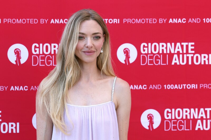 Amanda Seyfried hands