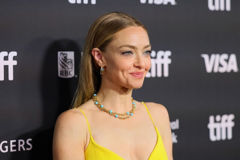 Amanda Seyfried boobs
