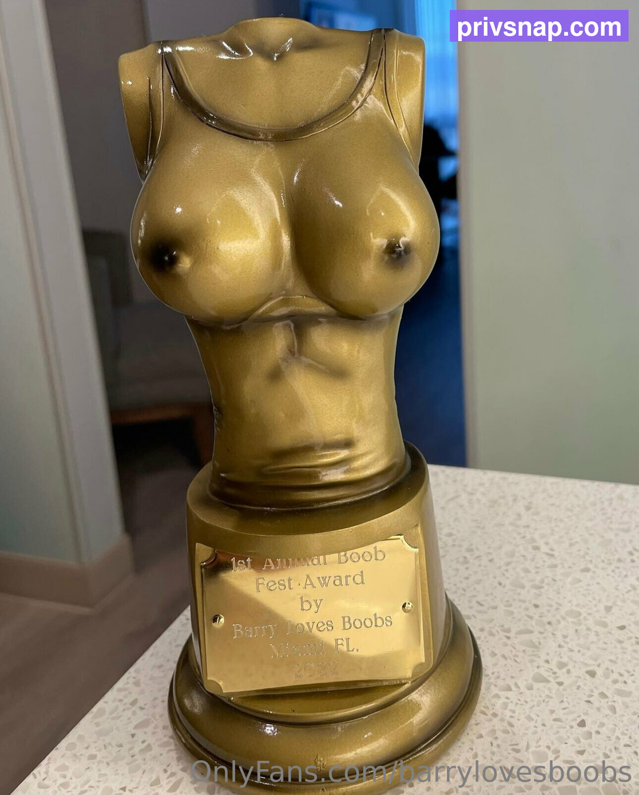 Barrylovesboobs / brbusby Nude Leaks OnlyFans  - Leaked Models