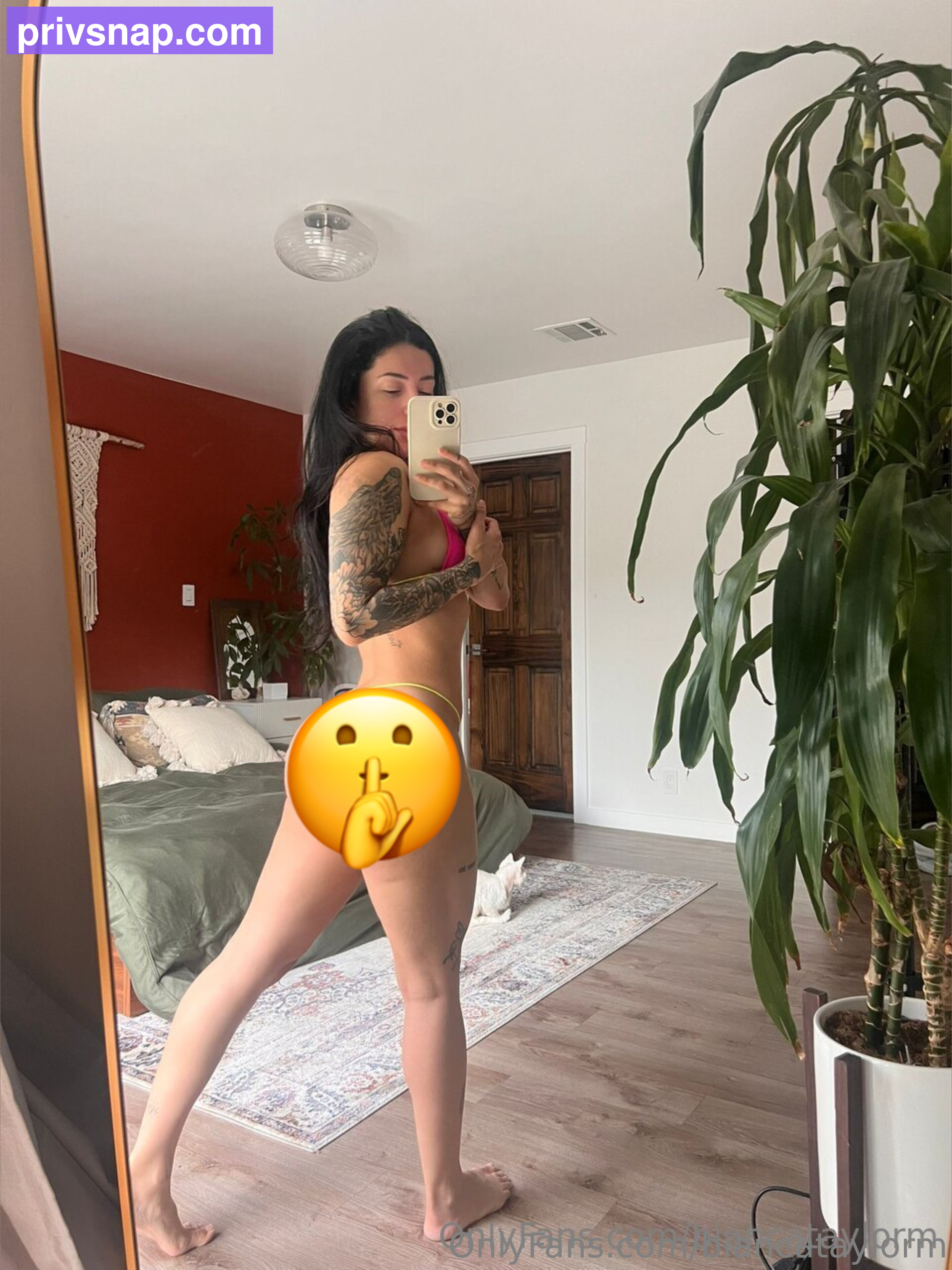 Biancataylorm Nude (15 Photos) - LeakedModels