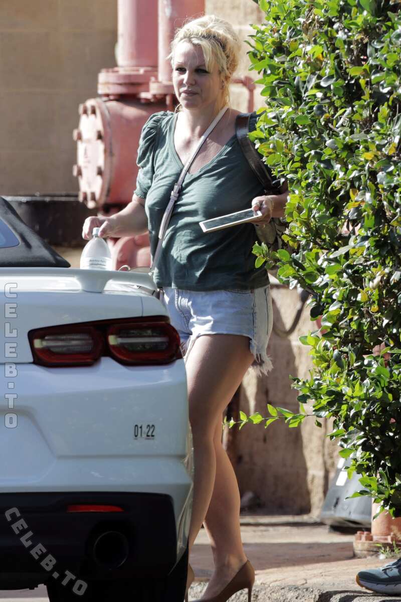 Britney Spears butts