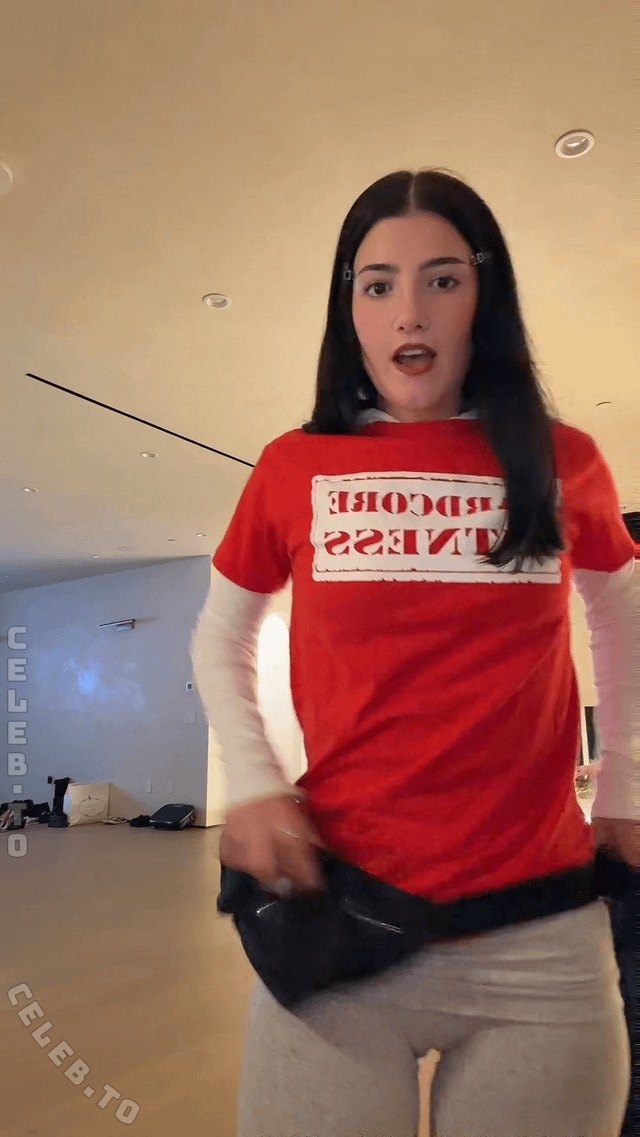 Charli D’Amelio Nude Ass Twerk Video Leaked - Influencers GoneWild
