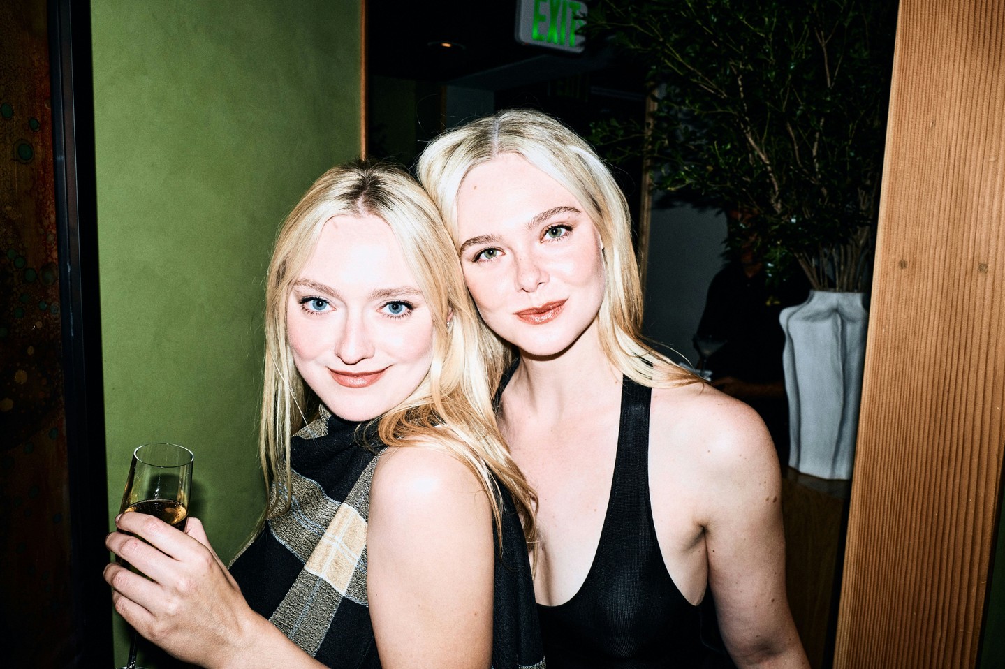 Dakota Fanning / dakotafanning Nude Leaks OnlyFans  - Leaked Models