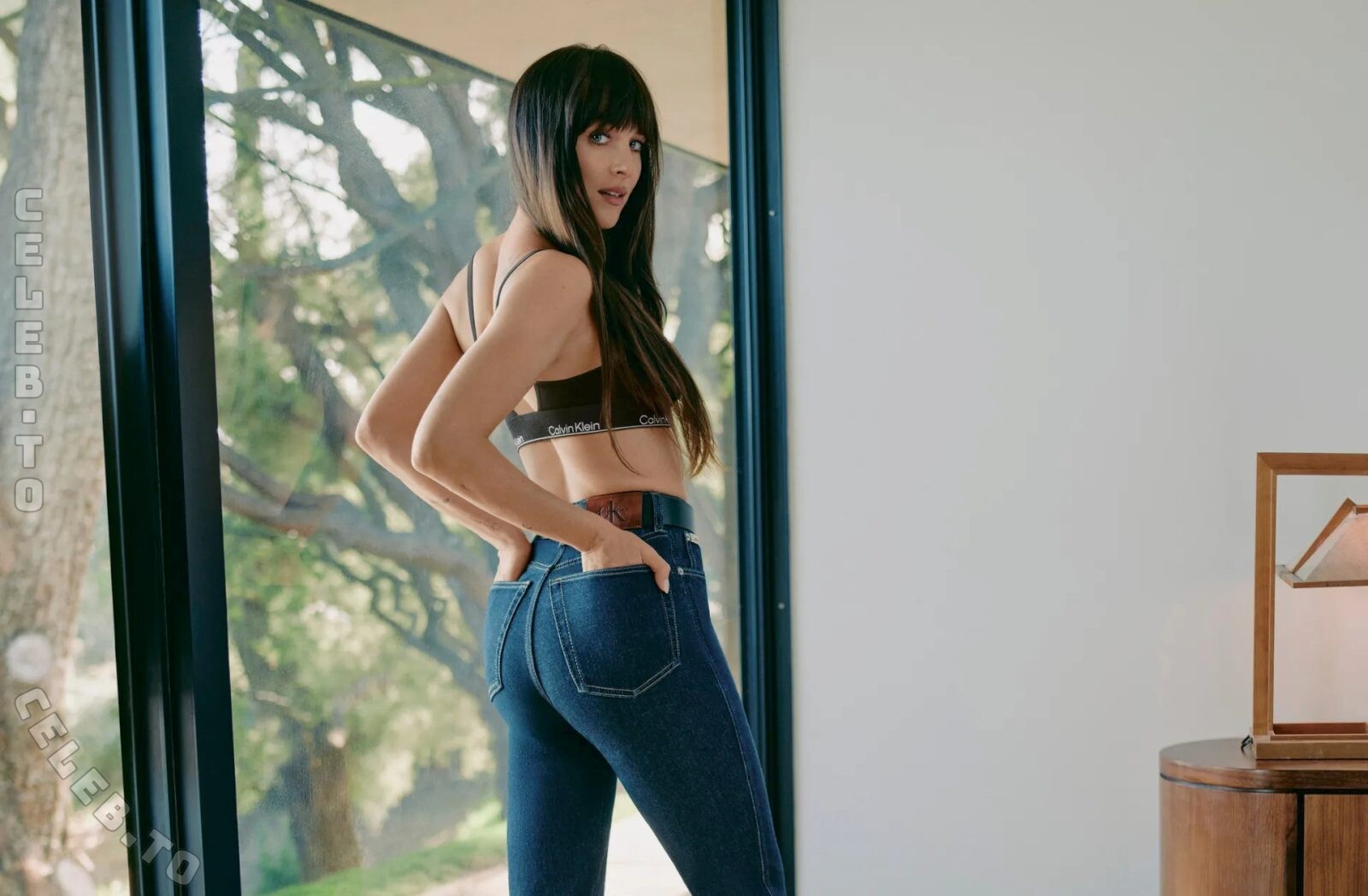Dakota Johnson nude leaked photos