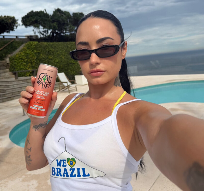 Demi Lovato hands