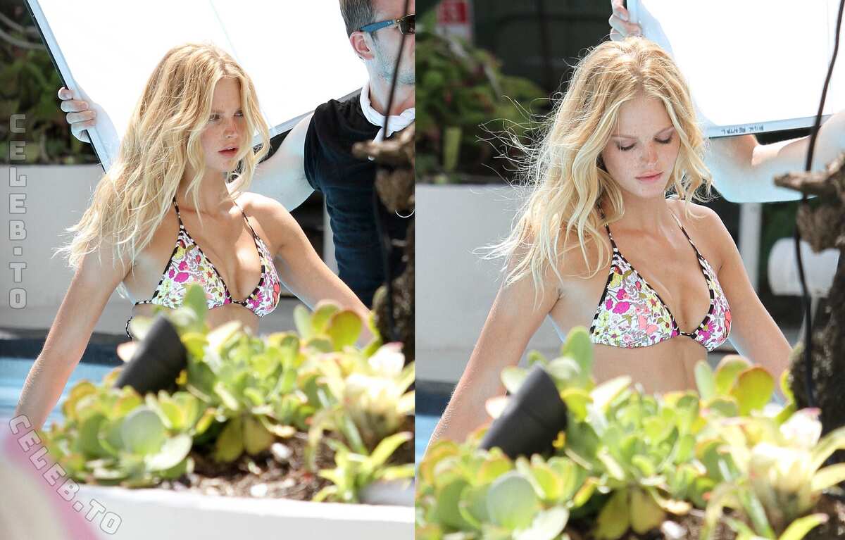 Erin Heatherton nude leaked photos