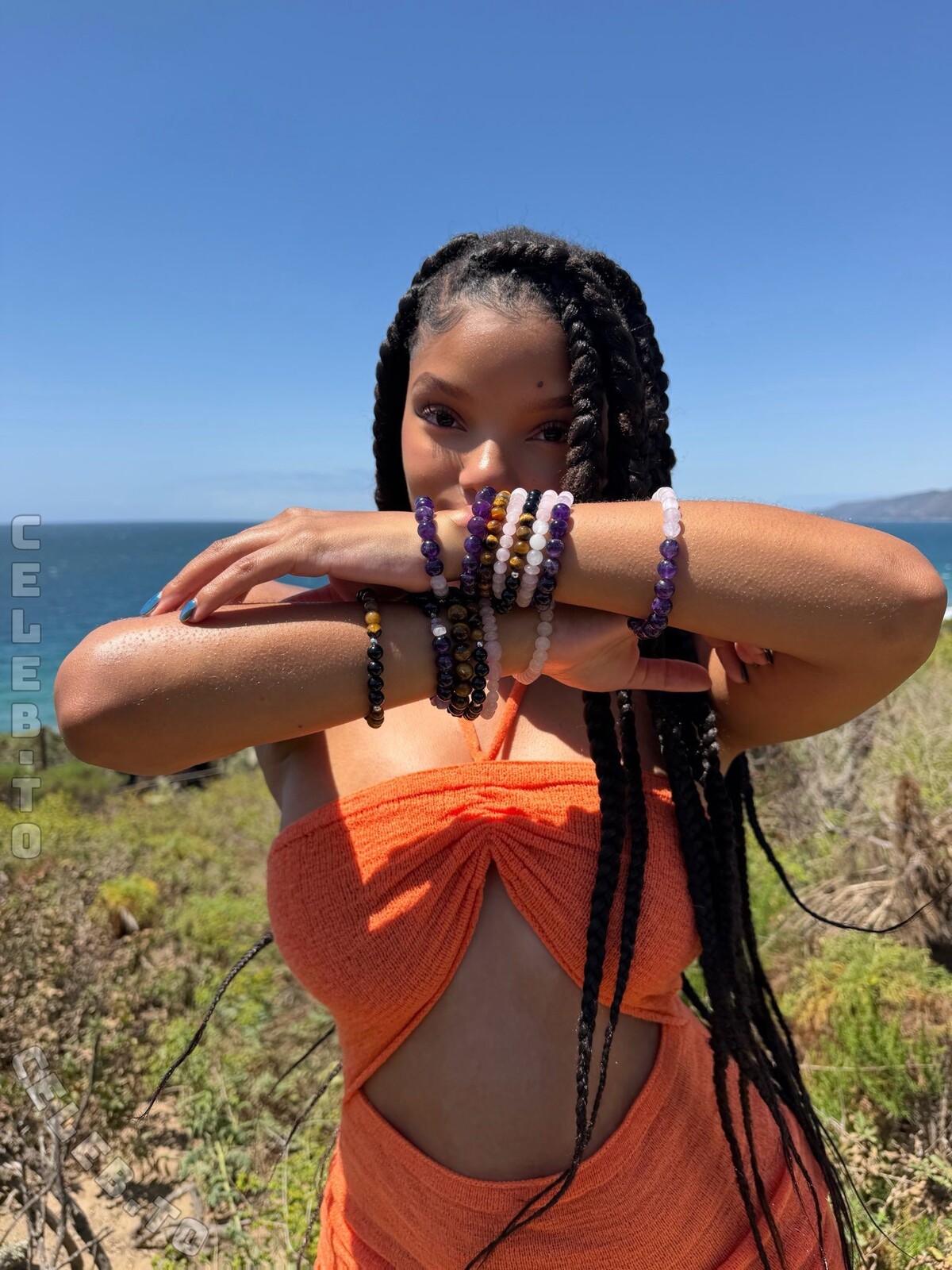 Halle Bailey Nude Pics and LEAKED Porn 2023