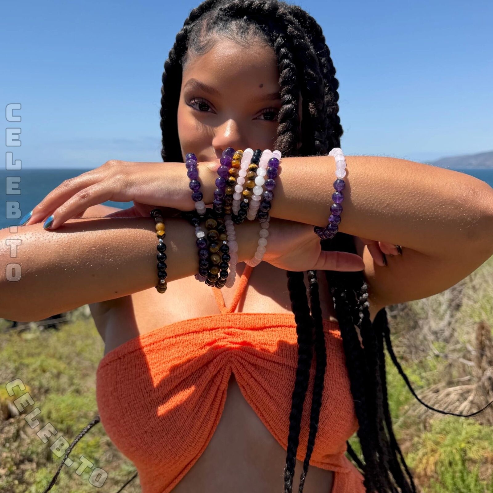 Halle Bailey Nude Pics and LEAKED Porn 2023