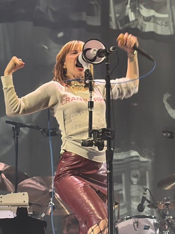 Hayley Williams hands