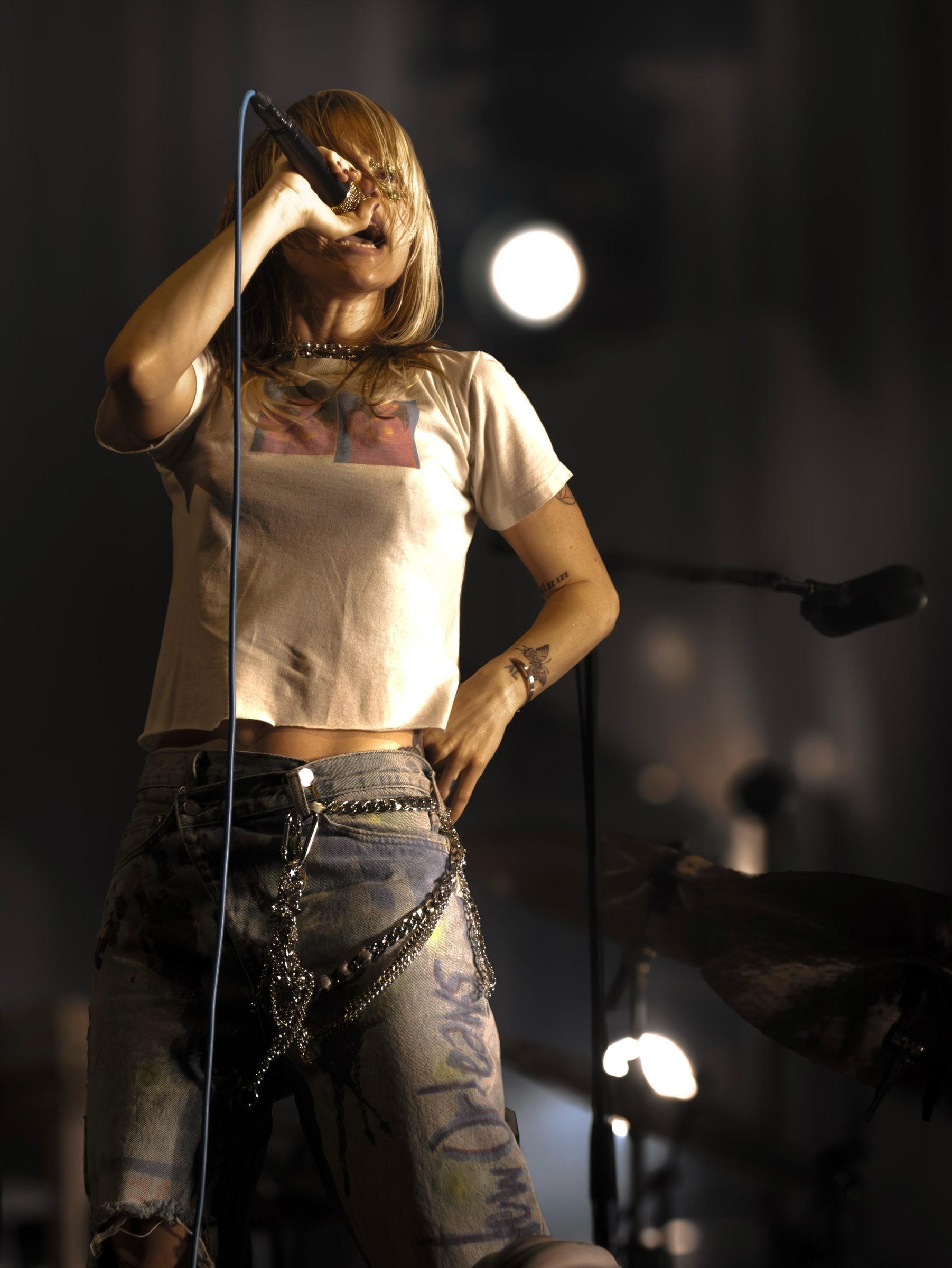 Hayley Williams Nude Celebrities - Hayleywilliams Celebrities Leaked Nude Pics