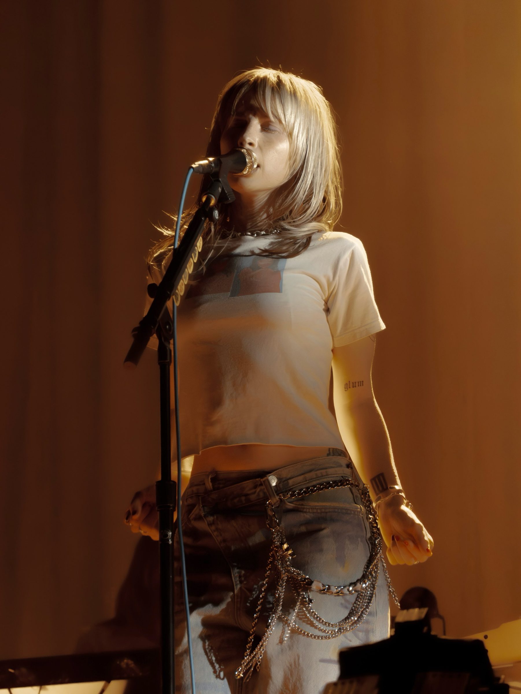Hayley Williams Nude Celebrities - Hayleywilliams Celebrities Leaked Nude Pics