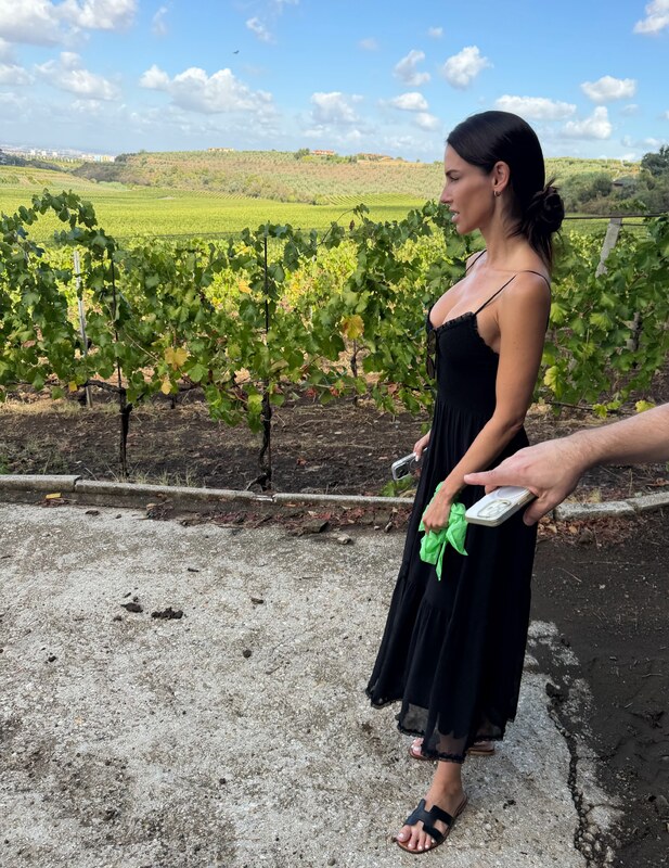 Jessica Lowndes hands