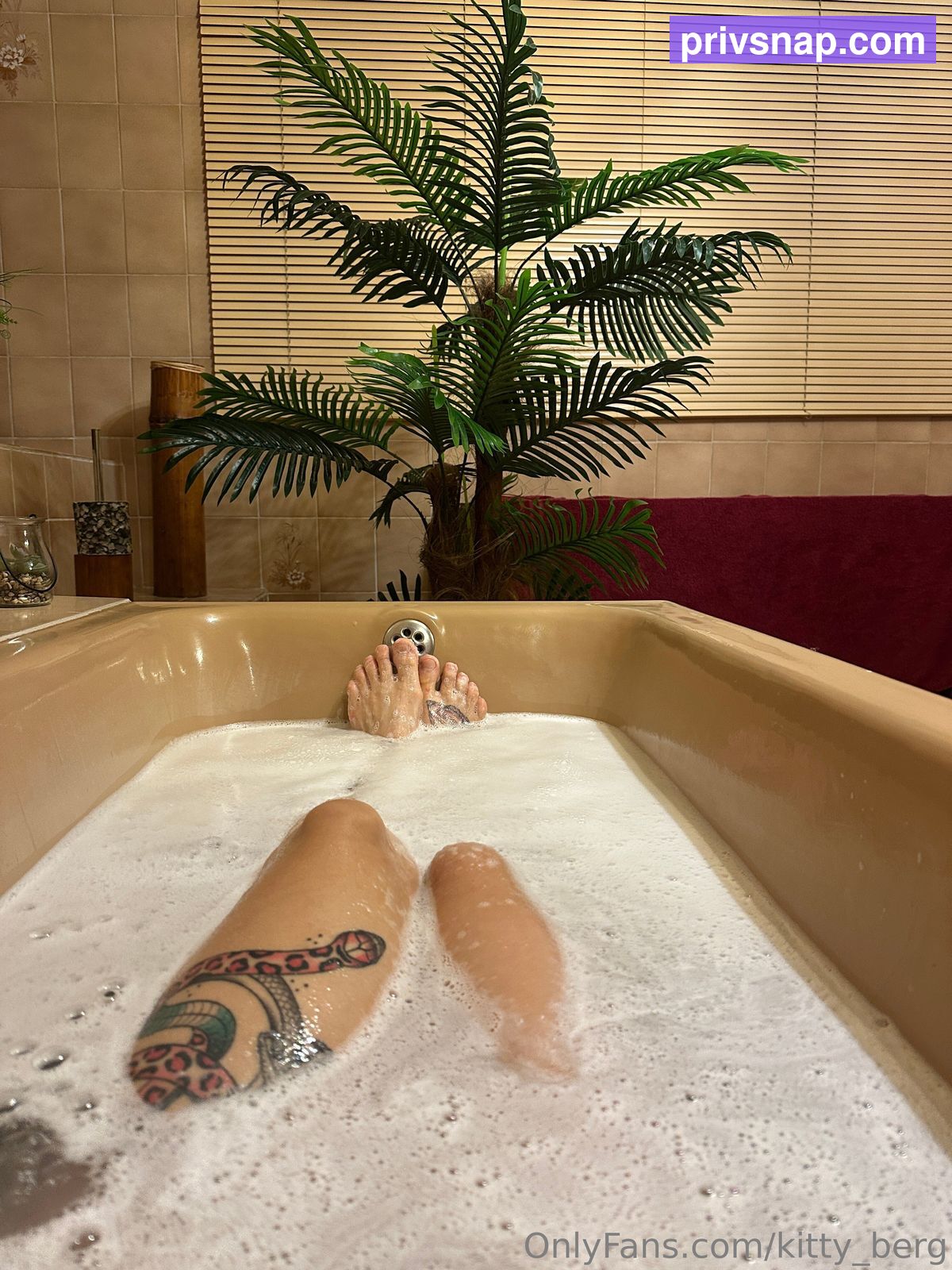 kitty_berg / kittyberg Nude Leaks OnlyFans  - Leaked Models