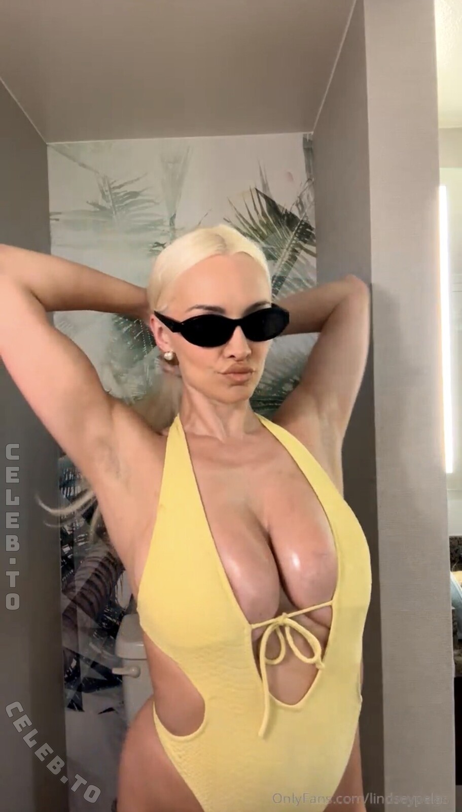 Lindsey Pelas nude leaked photos