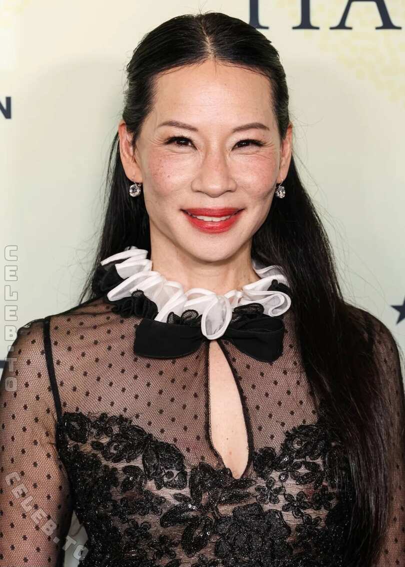 Lucy Liu hands