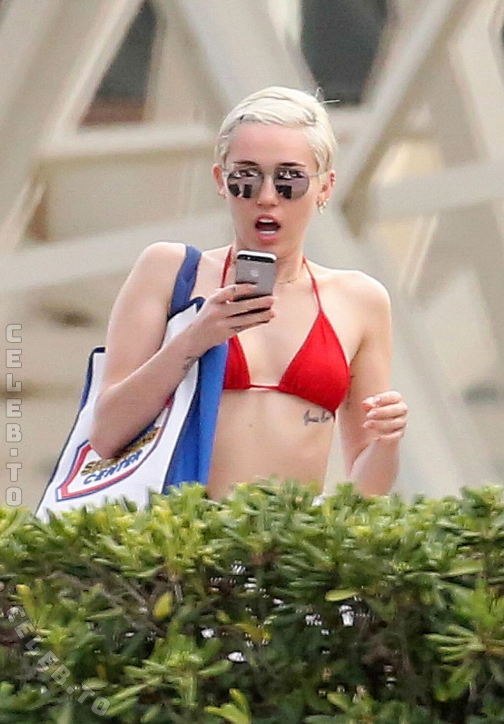 Miley Cyrus nude leaked photos