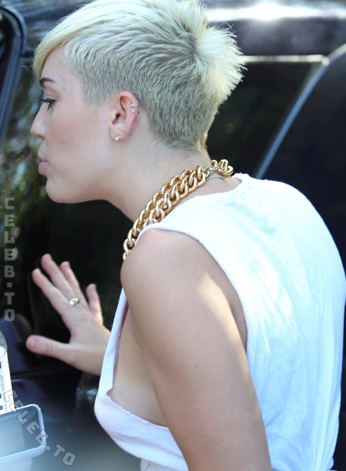 Miley Cyrus Nude & Sexy Collection (8 Photos)