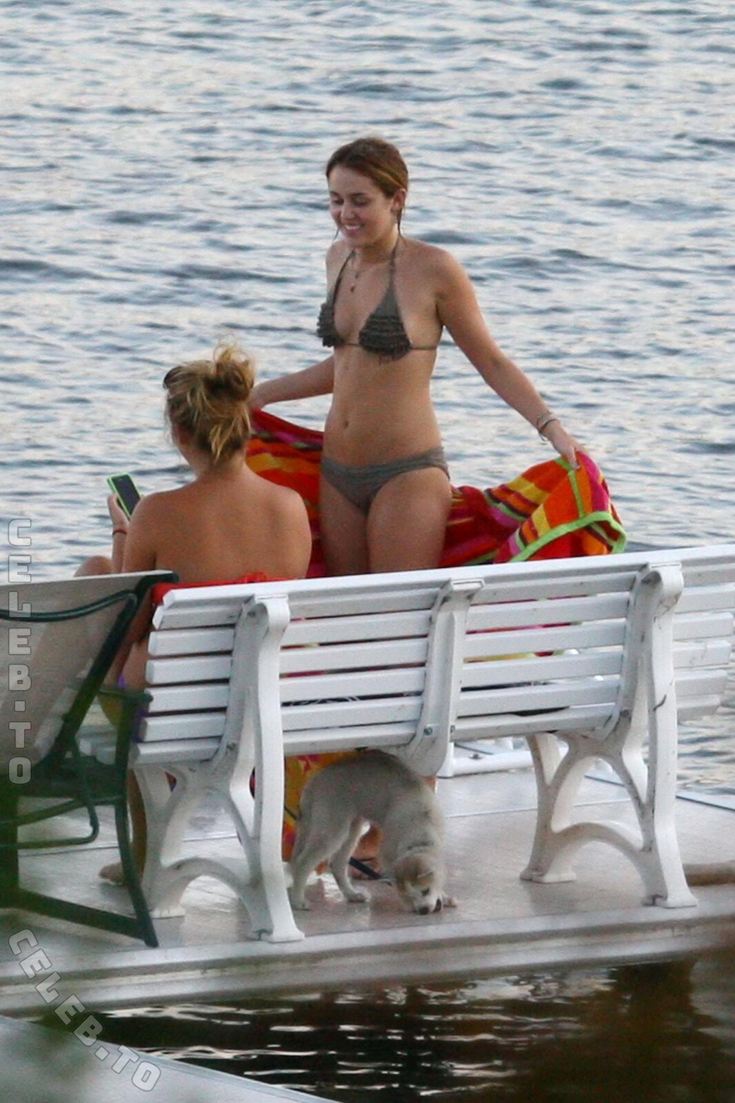 Miley Cyrus Nude & Sexy Collection (8 Photos)