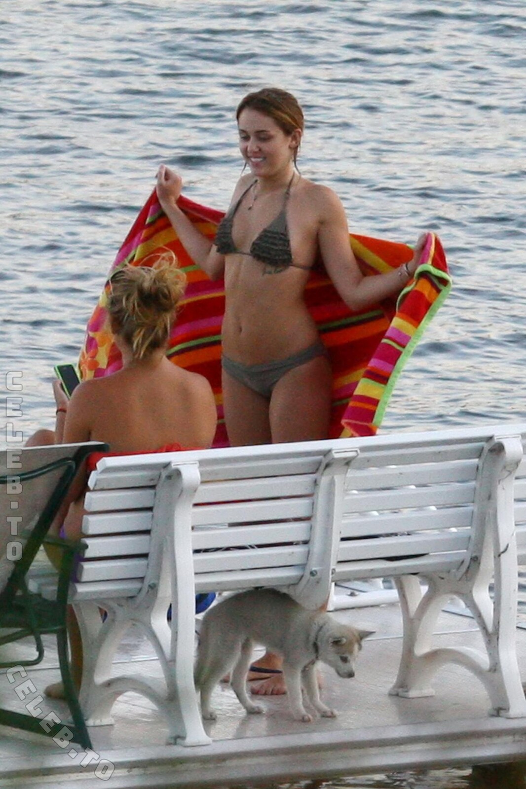 Miley Cyrus Nude & Sexy Collection (8 Photos)