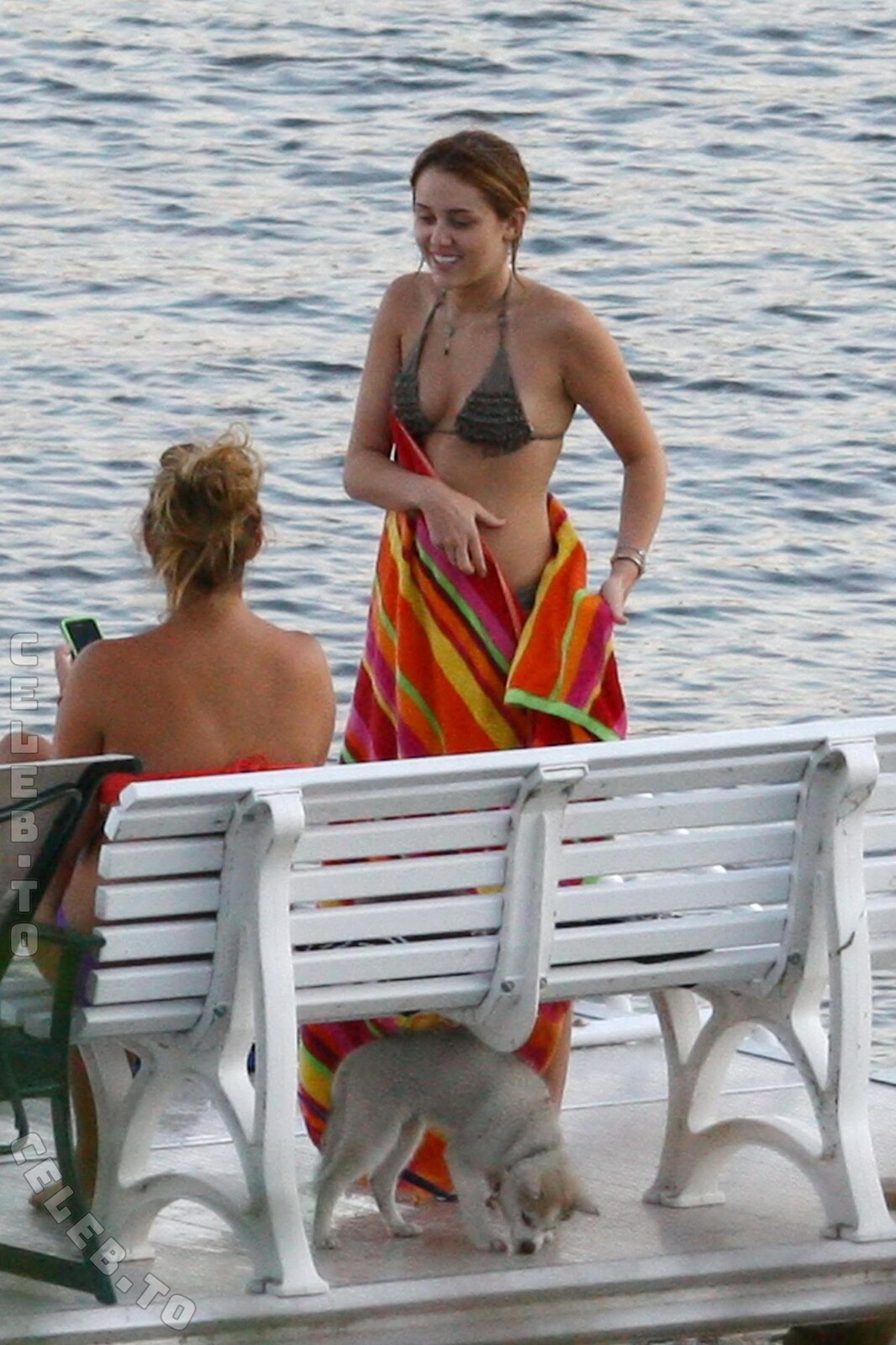 Miley Cyrus Nude & Sexy Collection (8 Photos)