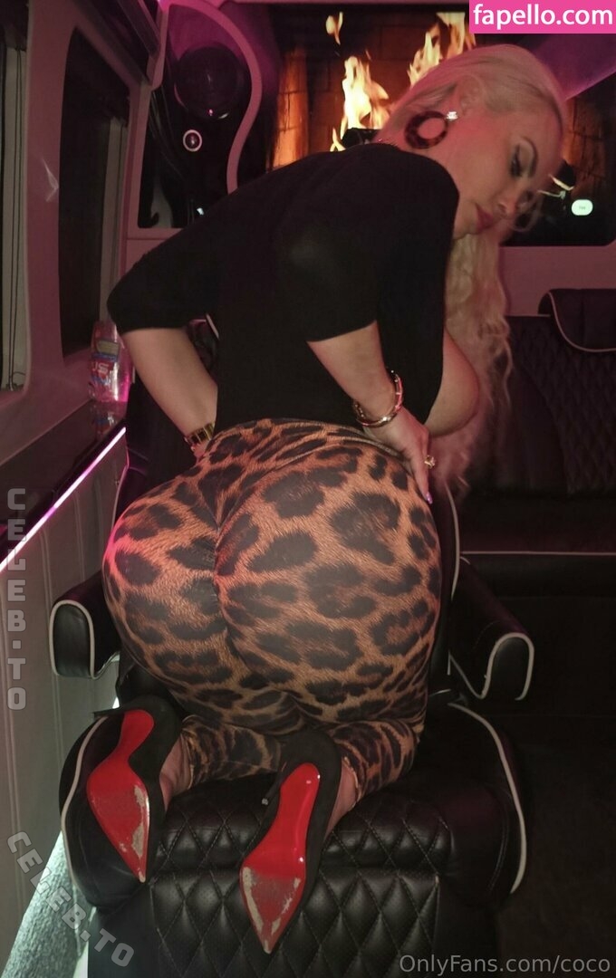 Nicole-coco-austin Naked (10 Photos) - LeakedModels
