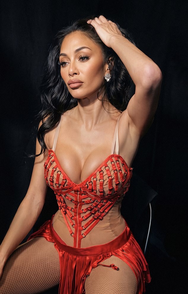 Nicole Scherzinger Hot (6 Photos)