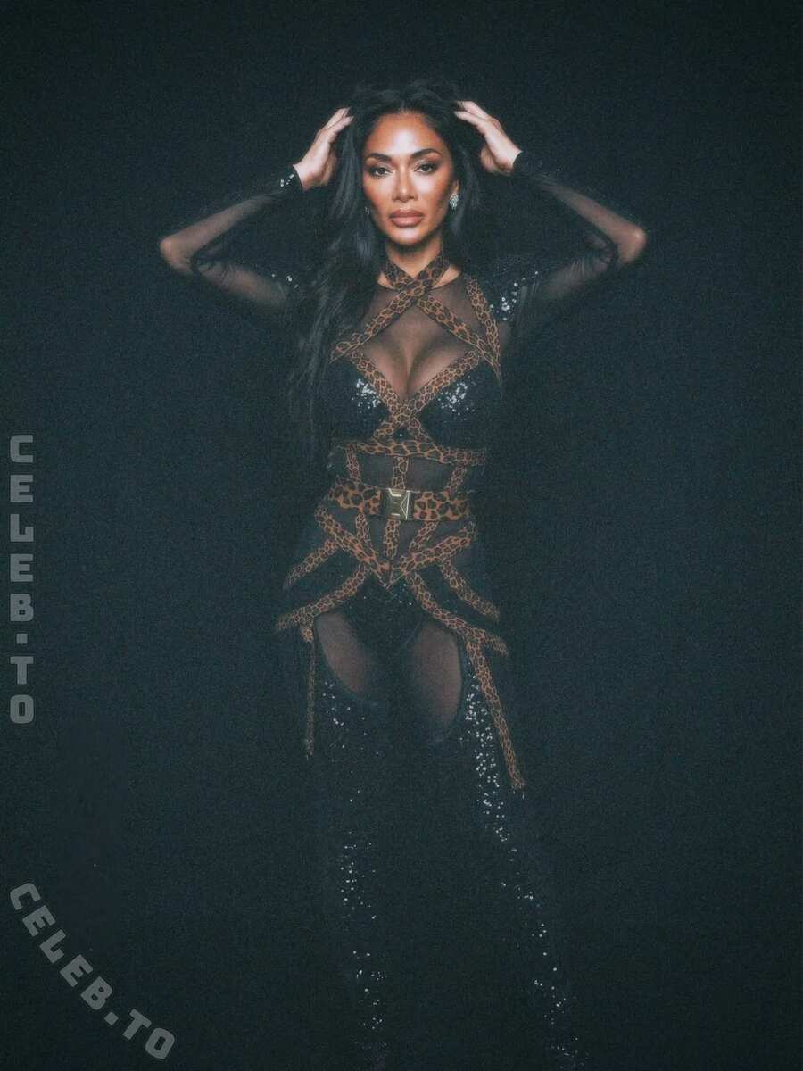 Nicole Scherzinger Hot (6 Photos)