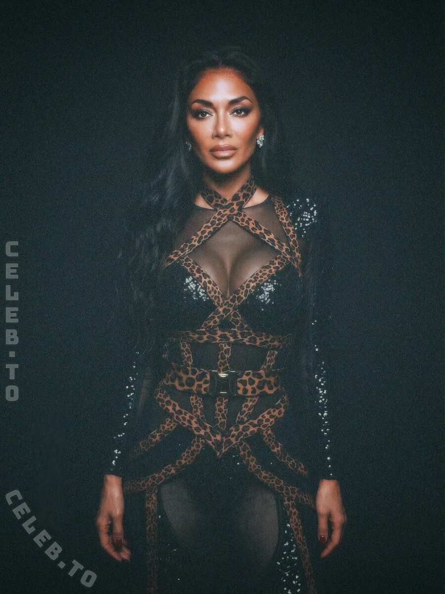 Nicole Scherzinger Hot (6 Photos)