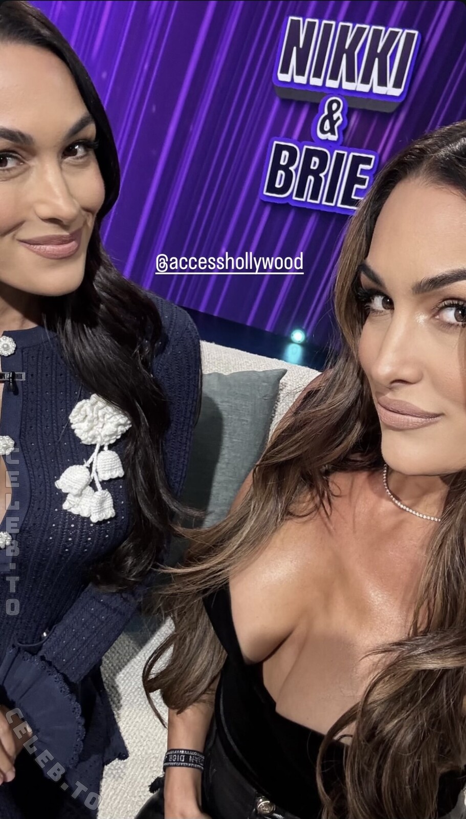 Nikki Bella butts
