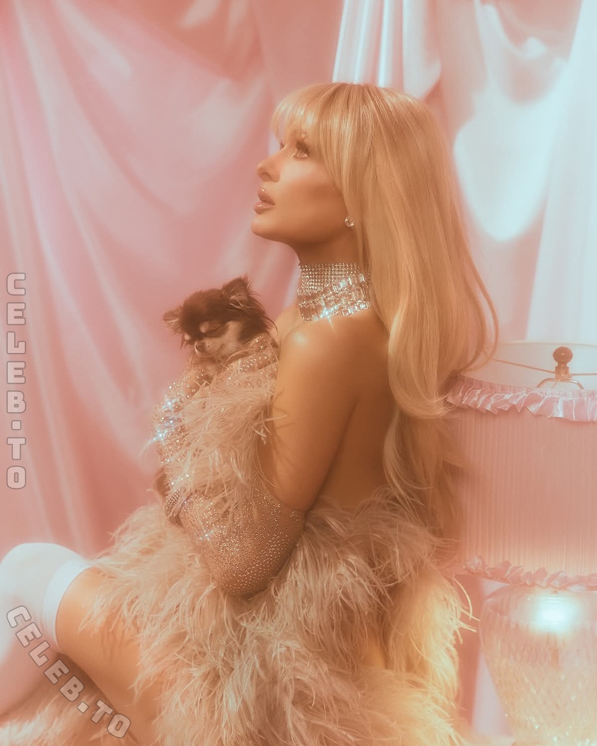 Paris Hilton legs