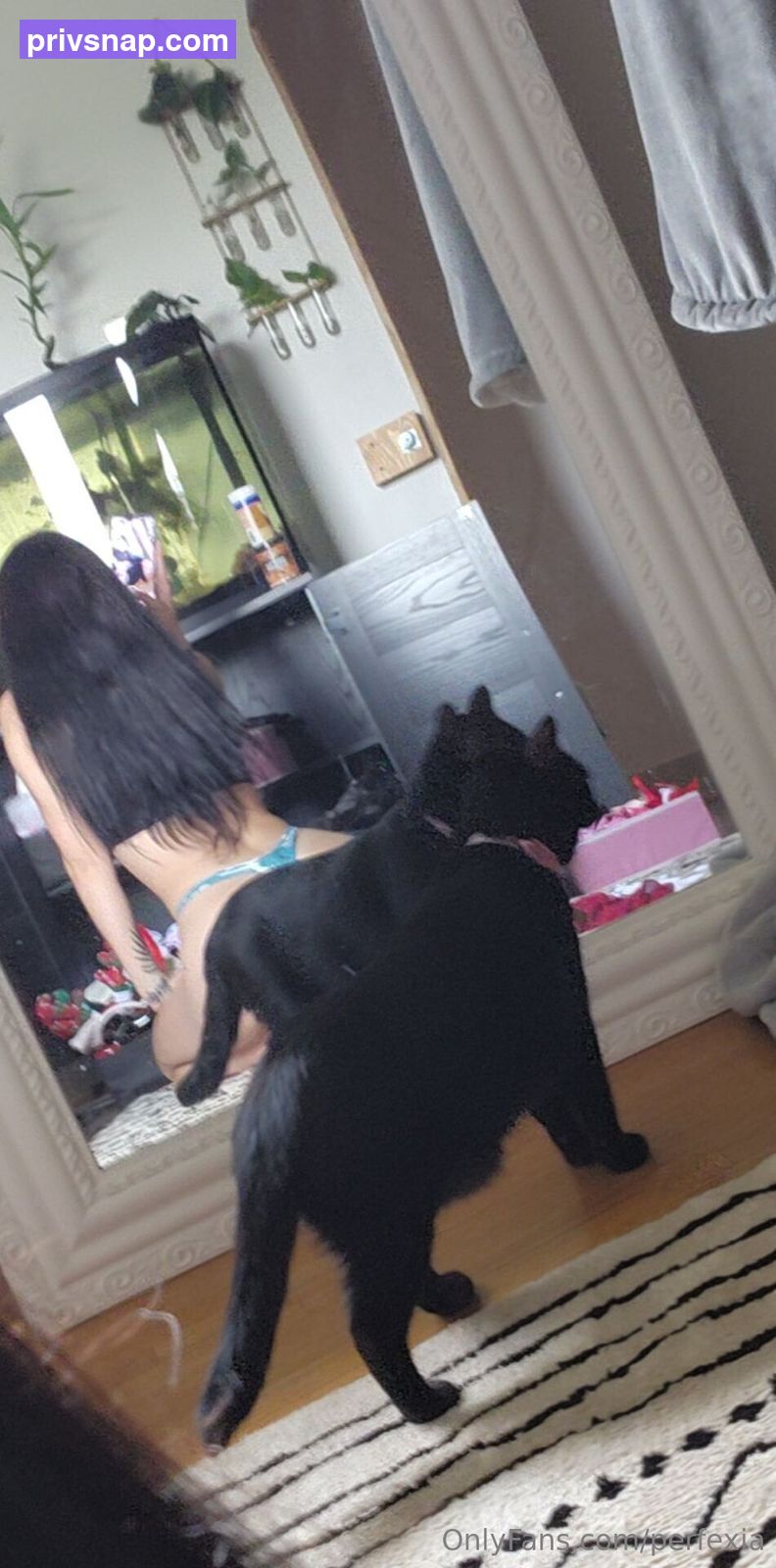 Perfexia / perfexiaa Nude Leaks OnlyFans  - Leaked Models