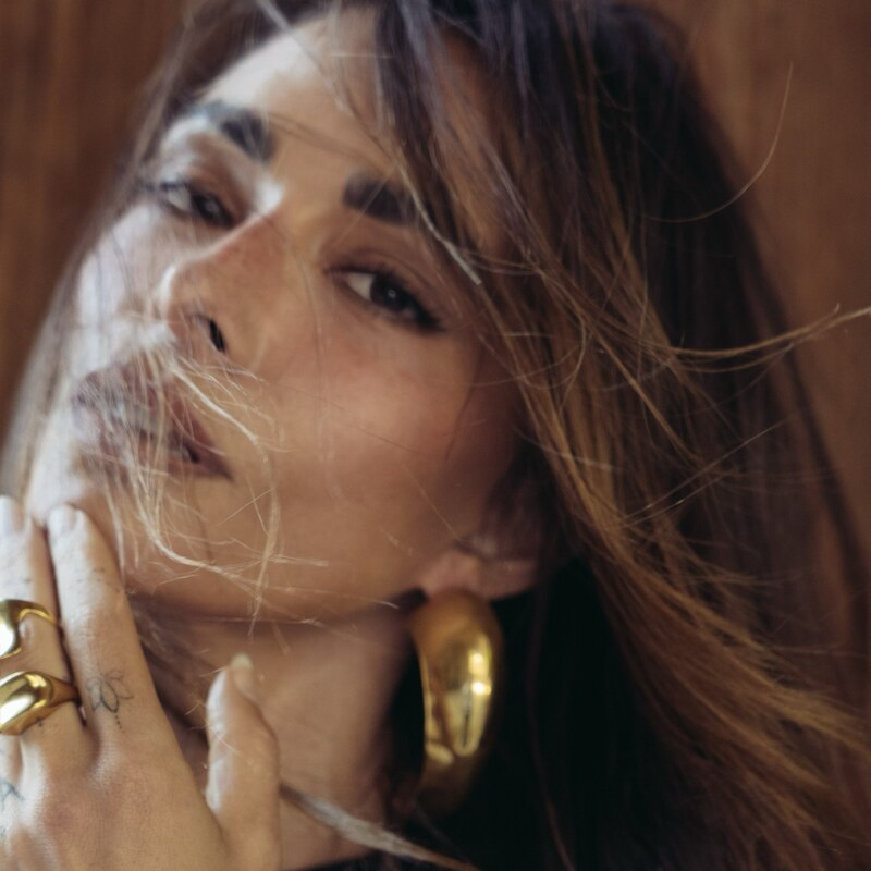 Sarah Shahi hands