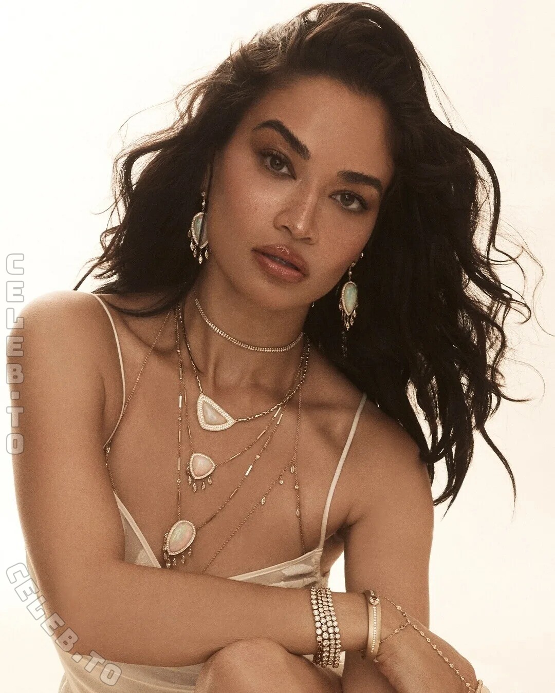 Shanina Shaik butts