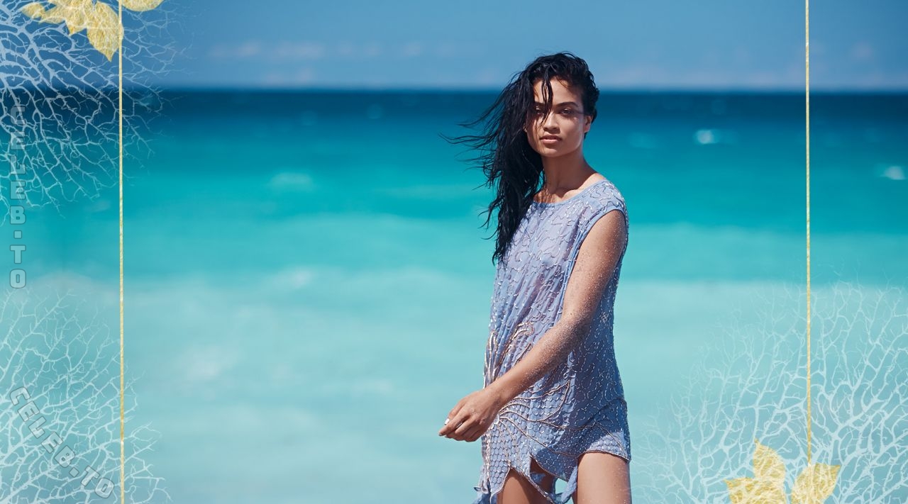 Shanina Shaik hands