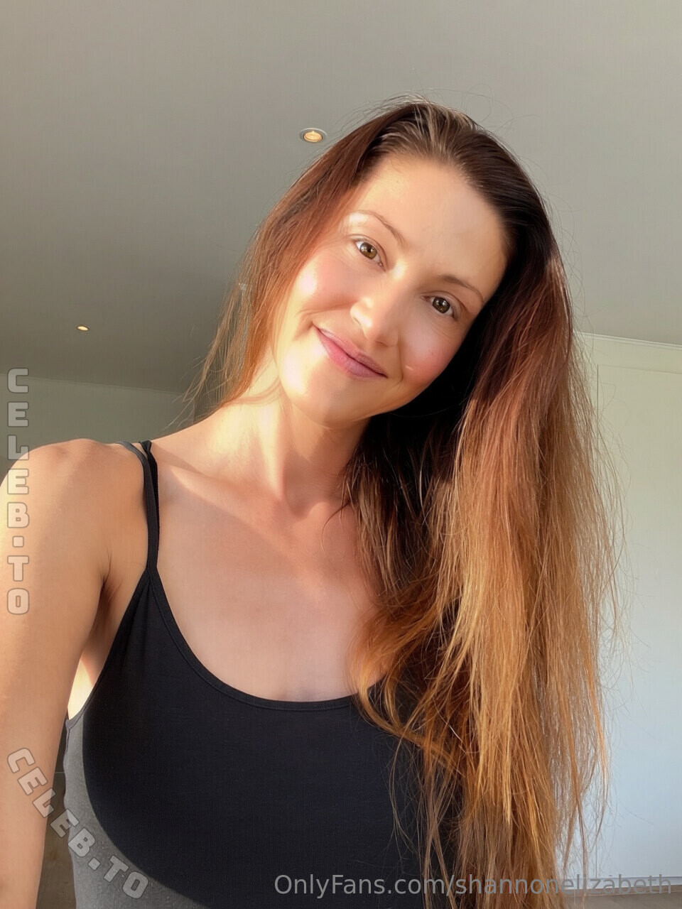 Shannon Elizabeth Nude Pics & Topless Sex Scenes Compilation