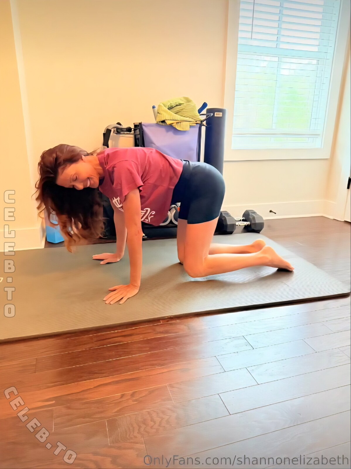 Shannon Elizabeth Nude Pics & Topless Sex Scenes Compilation