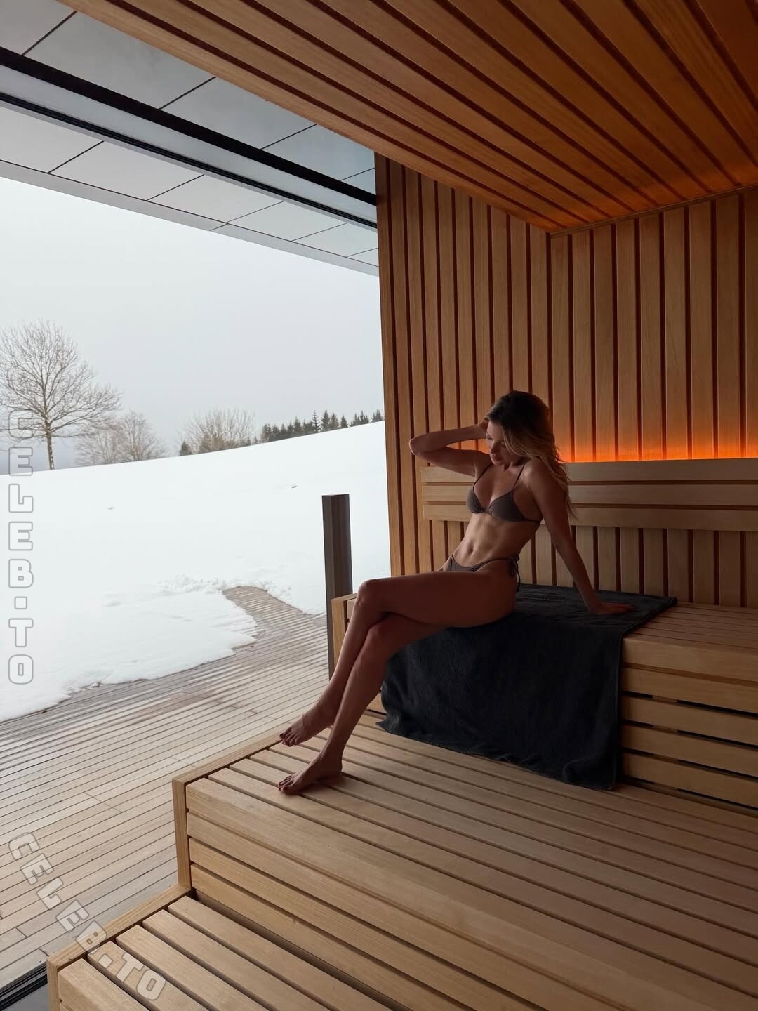 Sylvie Meis nude leaked photos