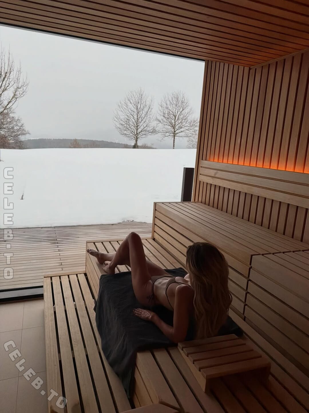 Sylvie Meis nude leaked photos