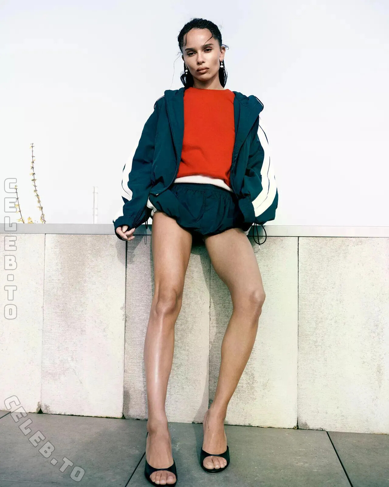 Zoe Kravitz hands