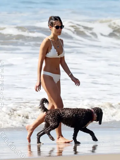Jordana brewster fappening